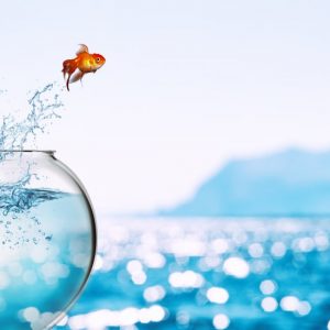 Cesur Savaşçı Kız Çocuğun Hikayesi