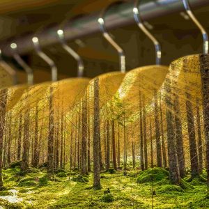 Sürdürülebilir Moda hayal mi?